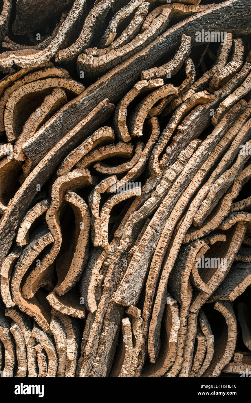 Pile of bark from cork tree Stock Photo