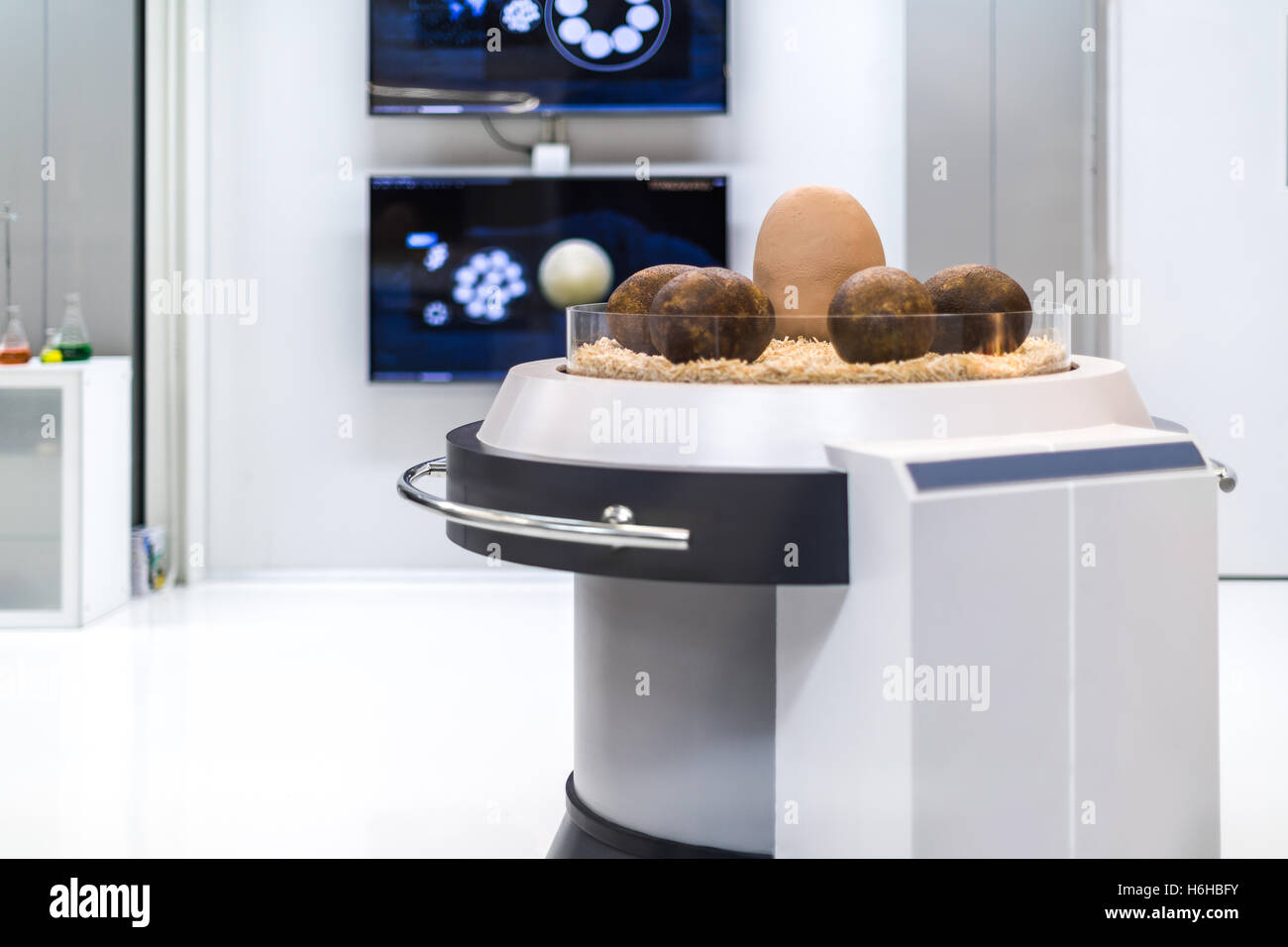 Dinosaur egg in modern science laboratory of paleontology Stock Photo