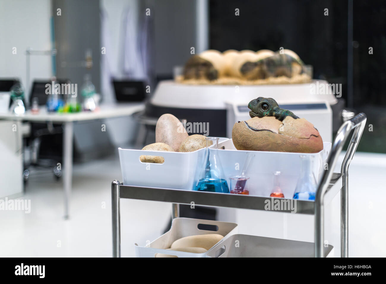 Dinosaur egg in modern science laboratory of paleontology. Stock Photo