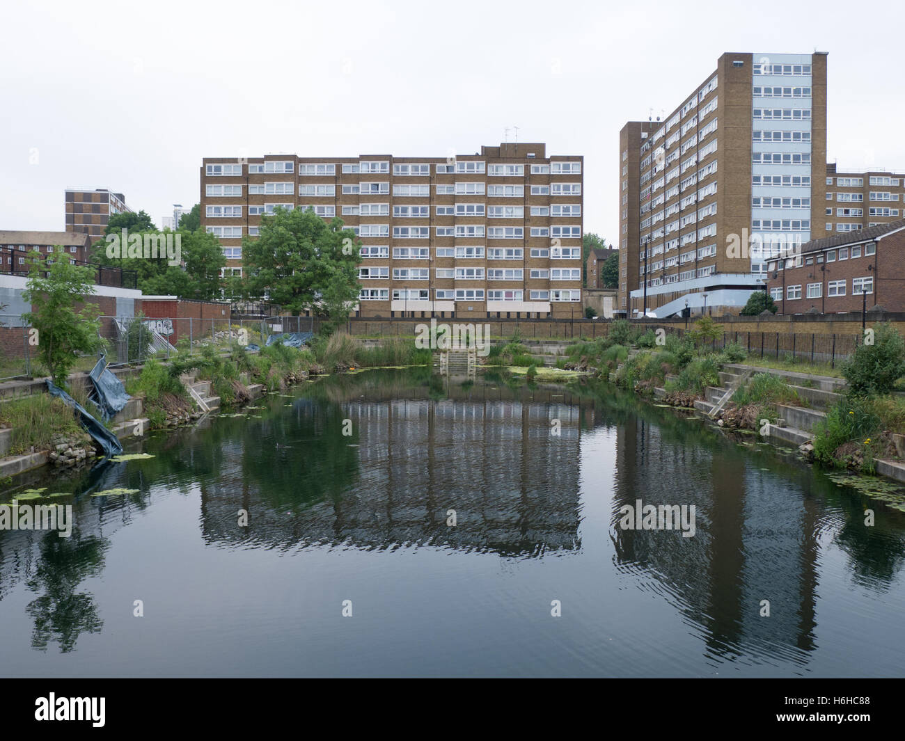 Woolwich Dockyard fishing lake Stock Photo Alamy