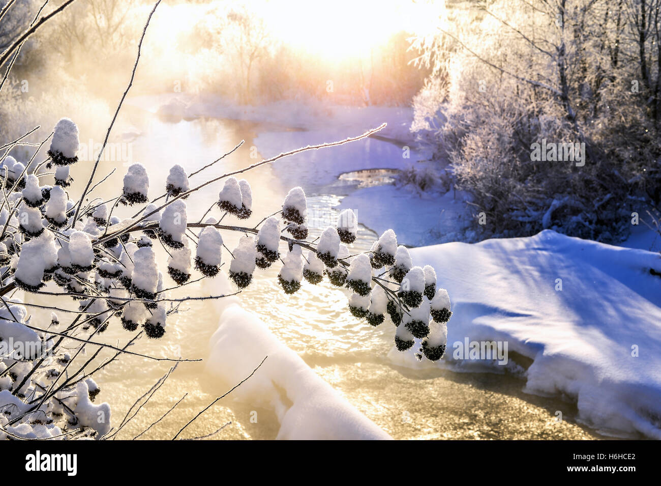 Winter sunny landscape with river and forest Stock Photo - Alamy
