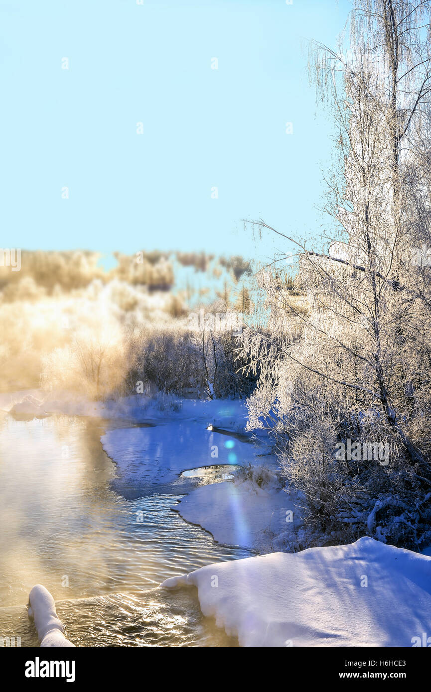 Winter sunny landscape with river and forest Stock Photo - Alamy
