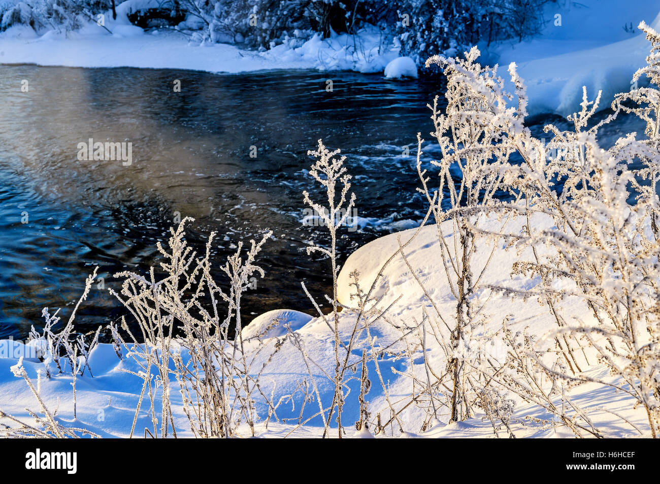 Winter sunny landscape with river and forest Stock Photo - Alamy