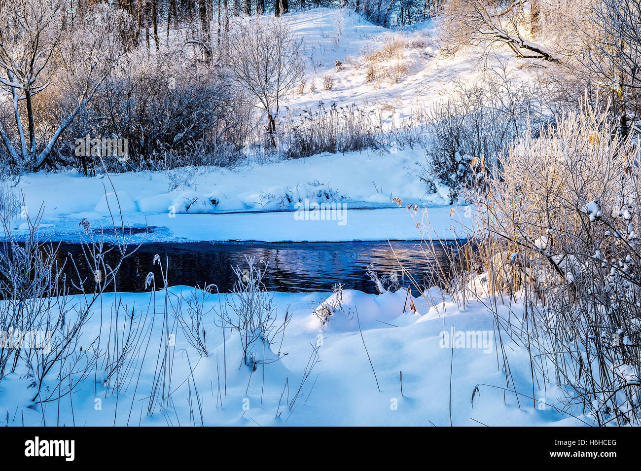 Winter sunny landscape with river and forest Stock Photo - Alamy