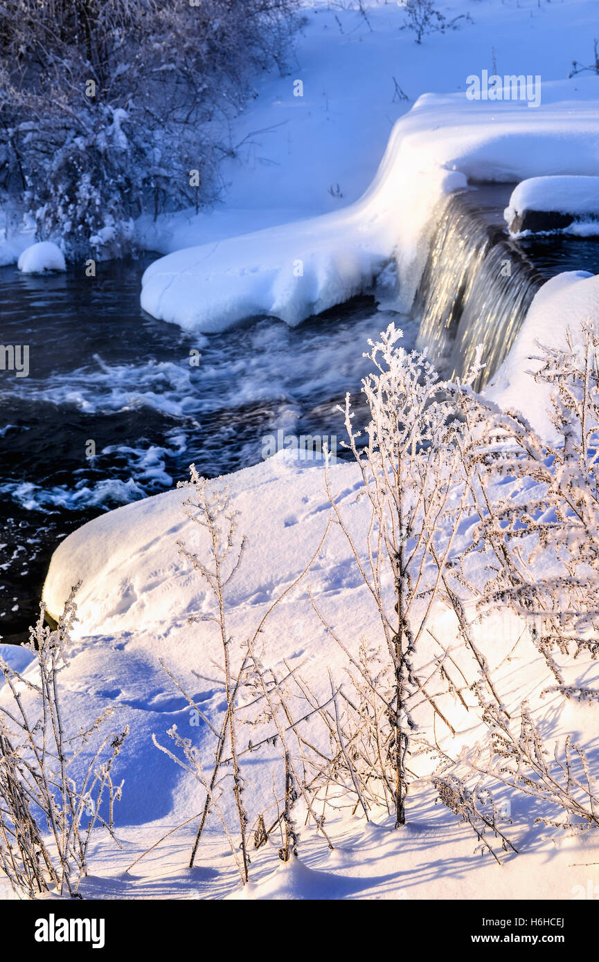 Winter sunny landscape with river and forest Stock Photo - Alamy