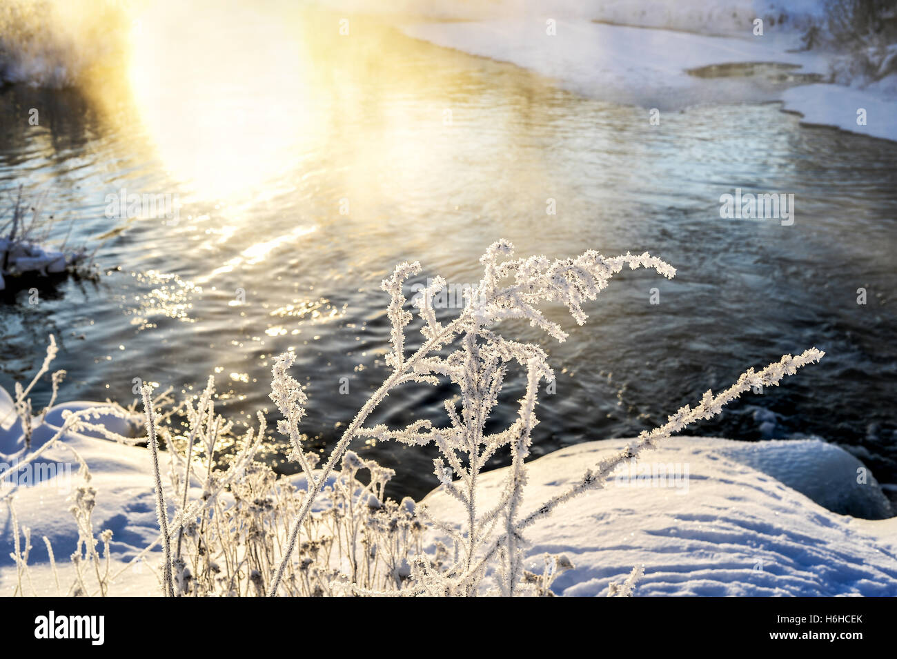 Winter sunny landscape with river and forest Stock Photo - Alamy
