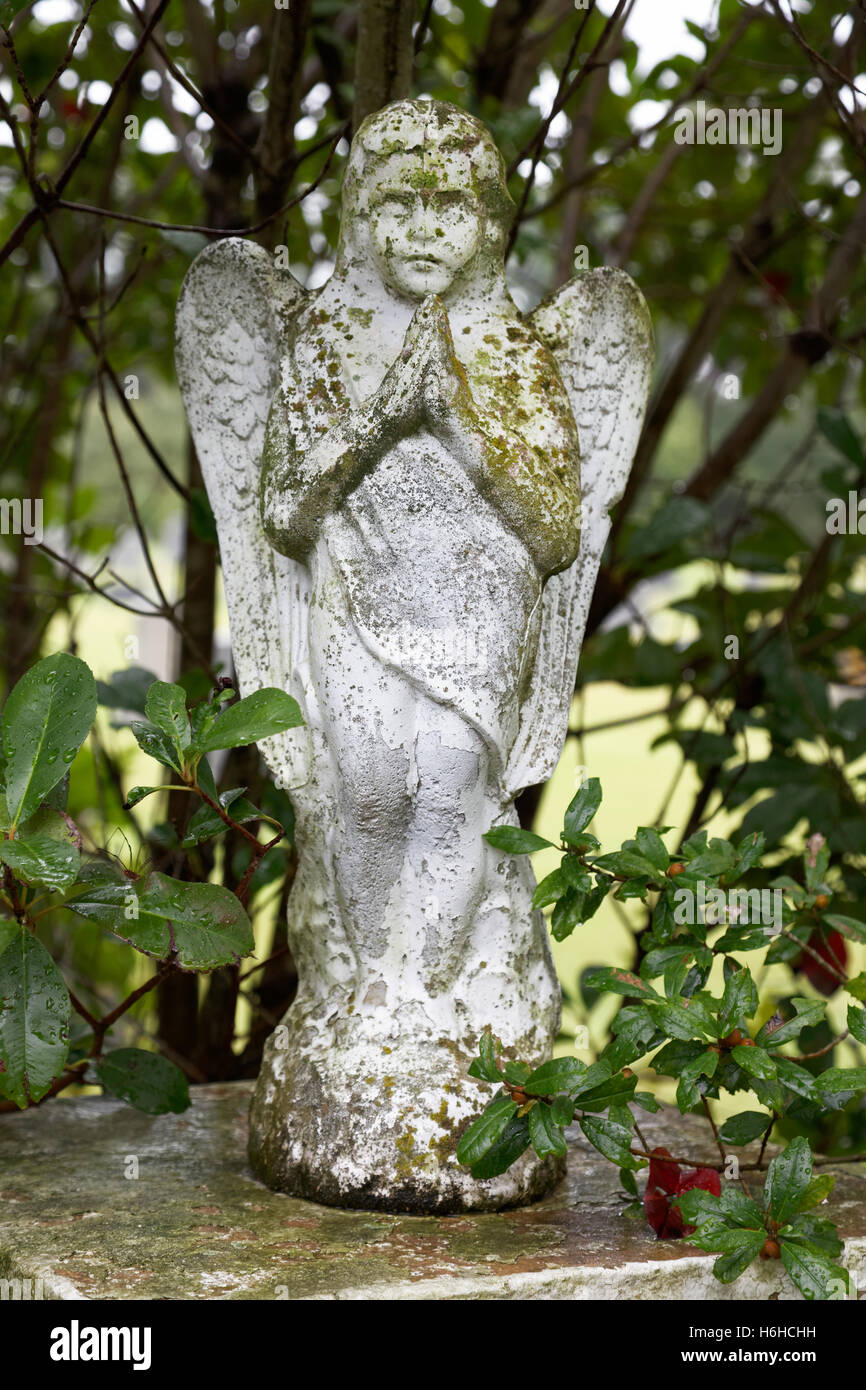 Lichen-covered cemetery angel on stone pedestal with branches and vegetation in the background. Stock Photo