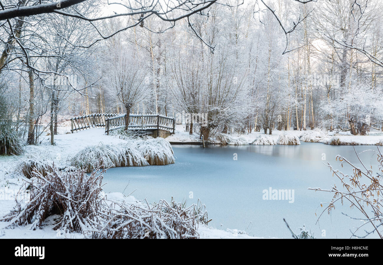 Winter scene at the botanical garden, showing a bridge over frozen ...