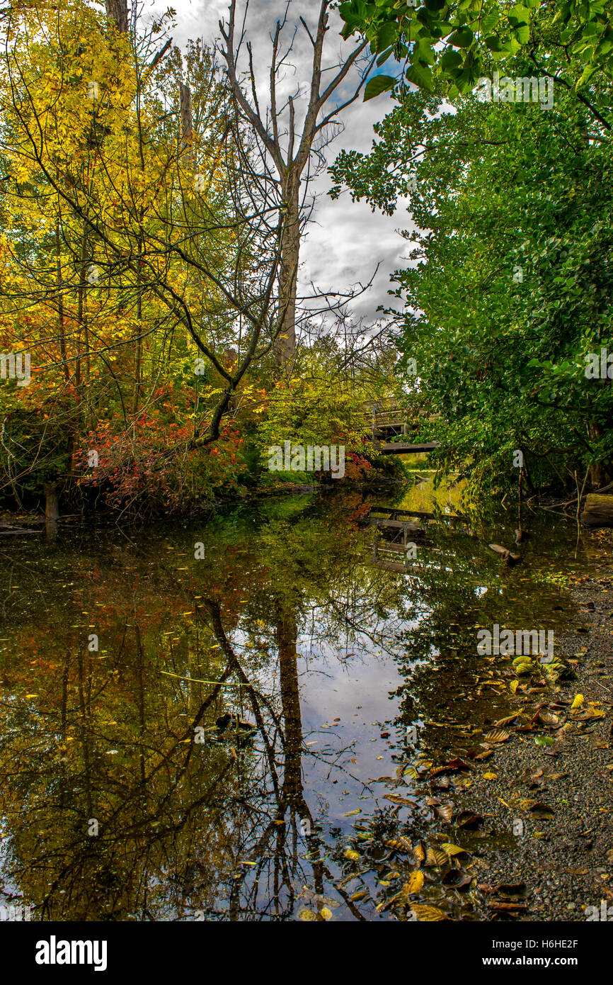 Seattle Arboretum - Washington State Stock Photo