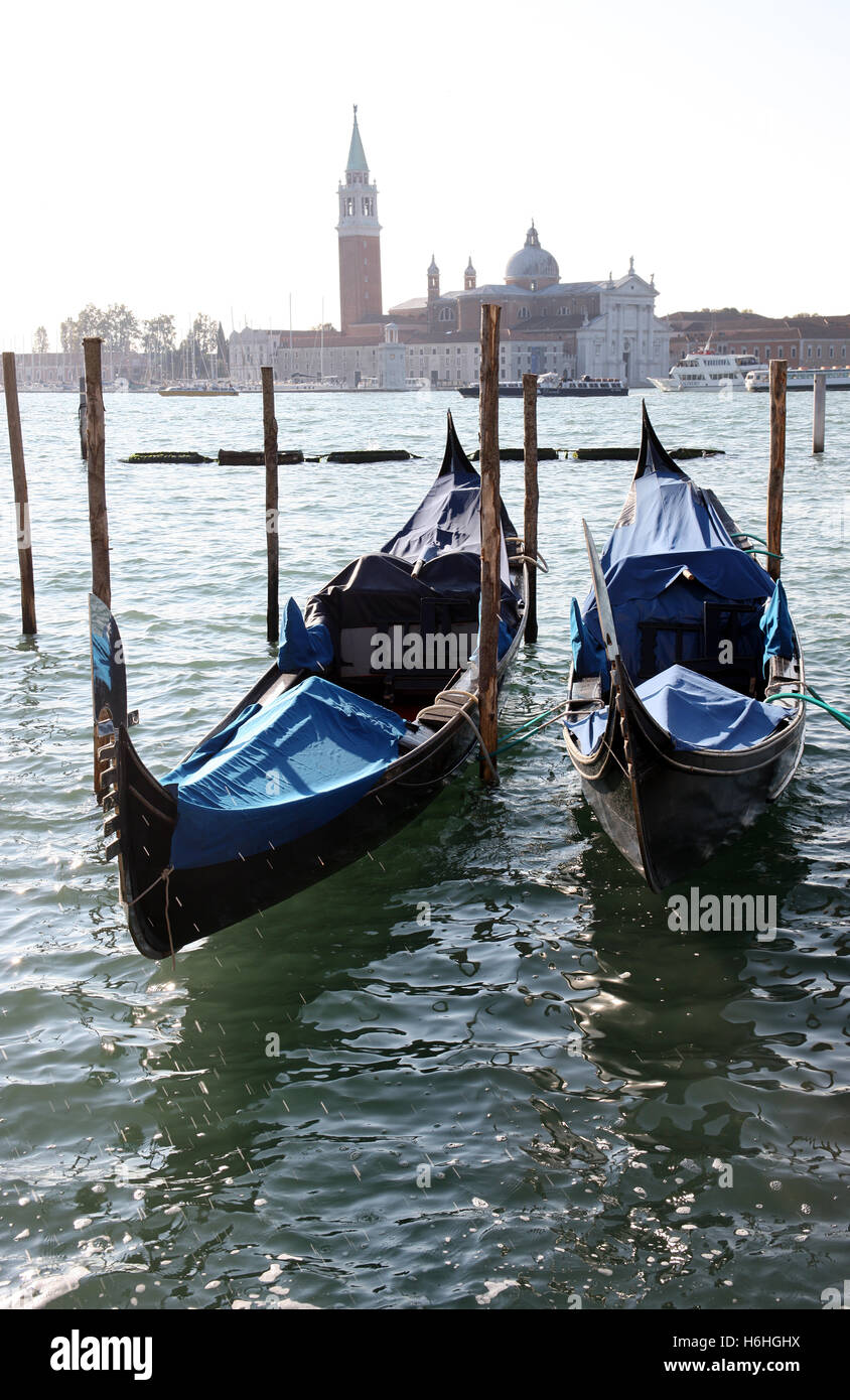 The iconic gondolas of Venice Italy moored in the Bacino San Marco Stock Photo