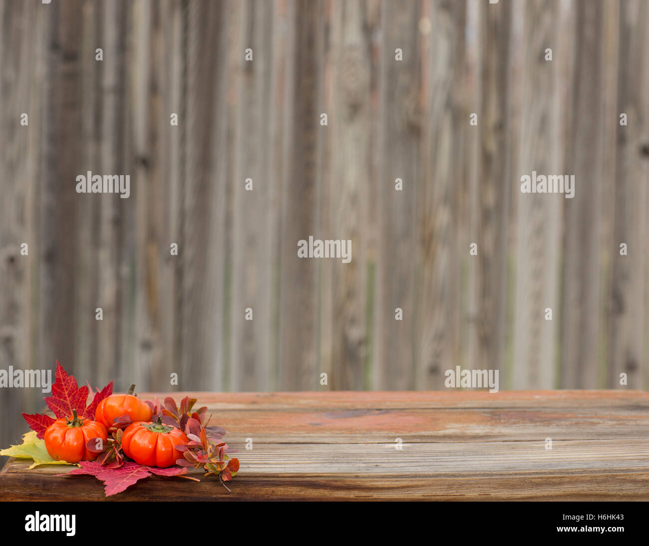 Pumpkin Backdrop Stock Photo