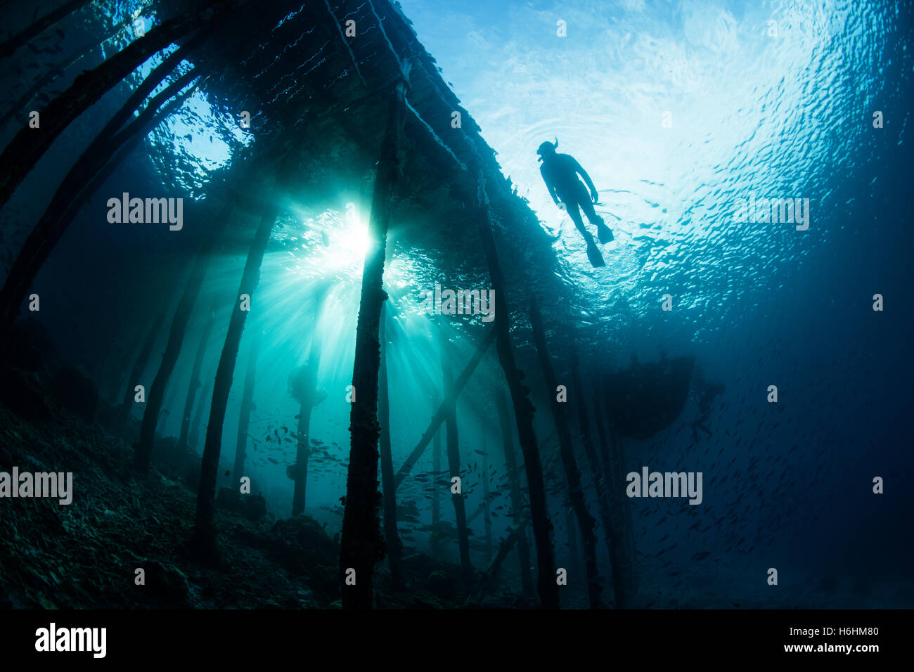 Underwater Structures High Resolution Stock Photography And Images Alamy
