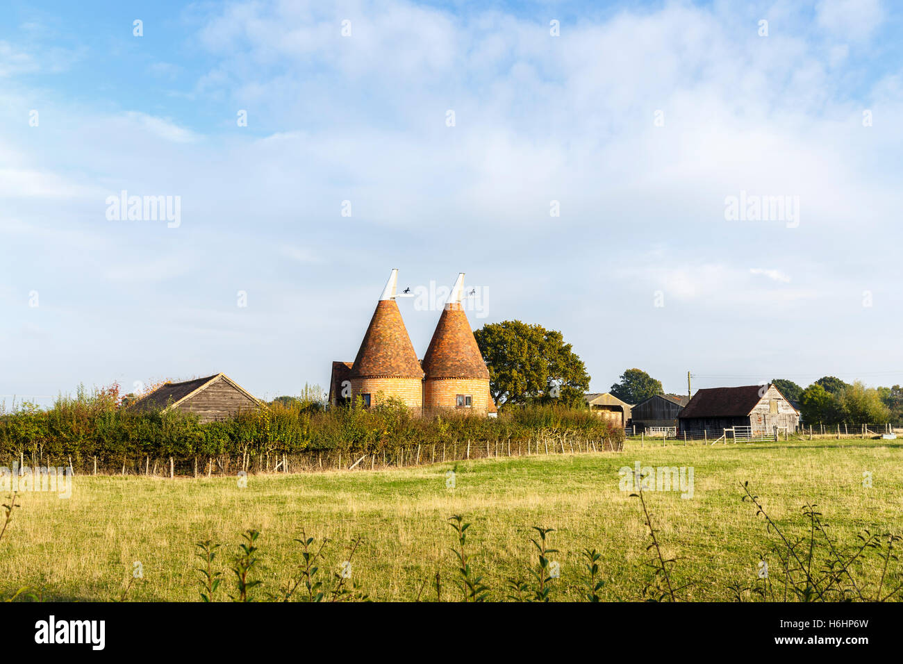 Two traditional style oast houses converted to residential use, Biddenden in rural Kent on the Kentish Weald, south-east England Stock Photo