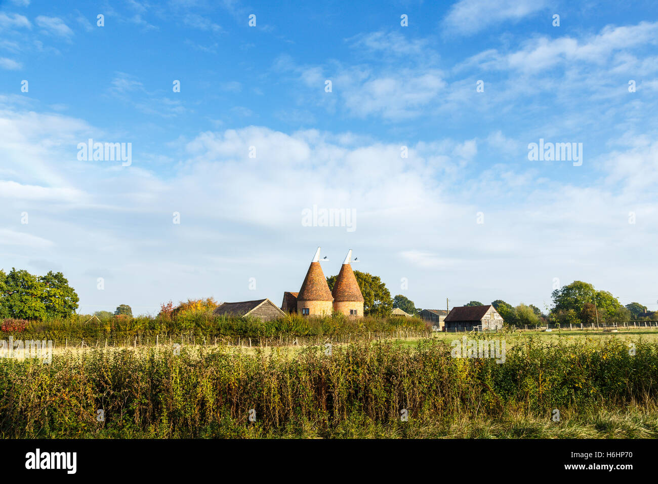 Two traditional style oast houses converted to residential use, Biddenden in rural Kent on the Kentish Weald, south-east England Stock Photo