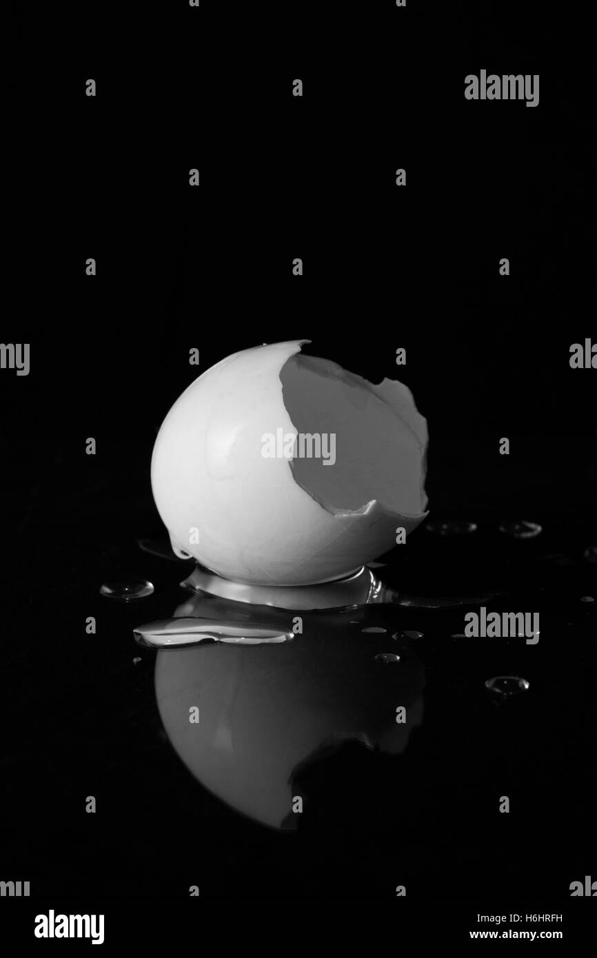 Cracked white egg shells isolated on black background with water drop and reflection. Stock Photo