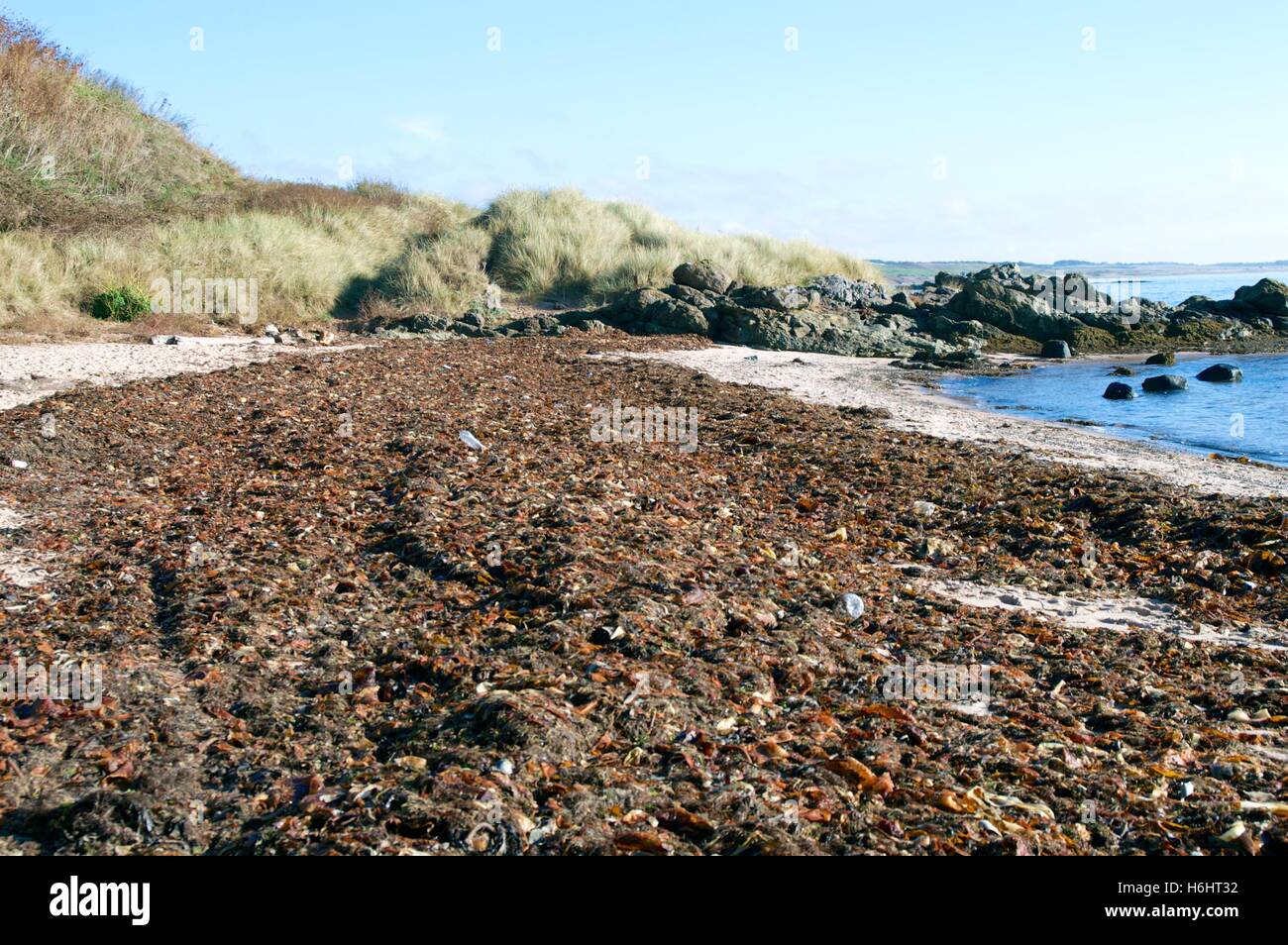 Rubbish washed up on the beach Lower Largo Scotland Stock Photo - Alamy