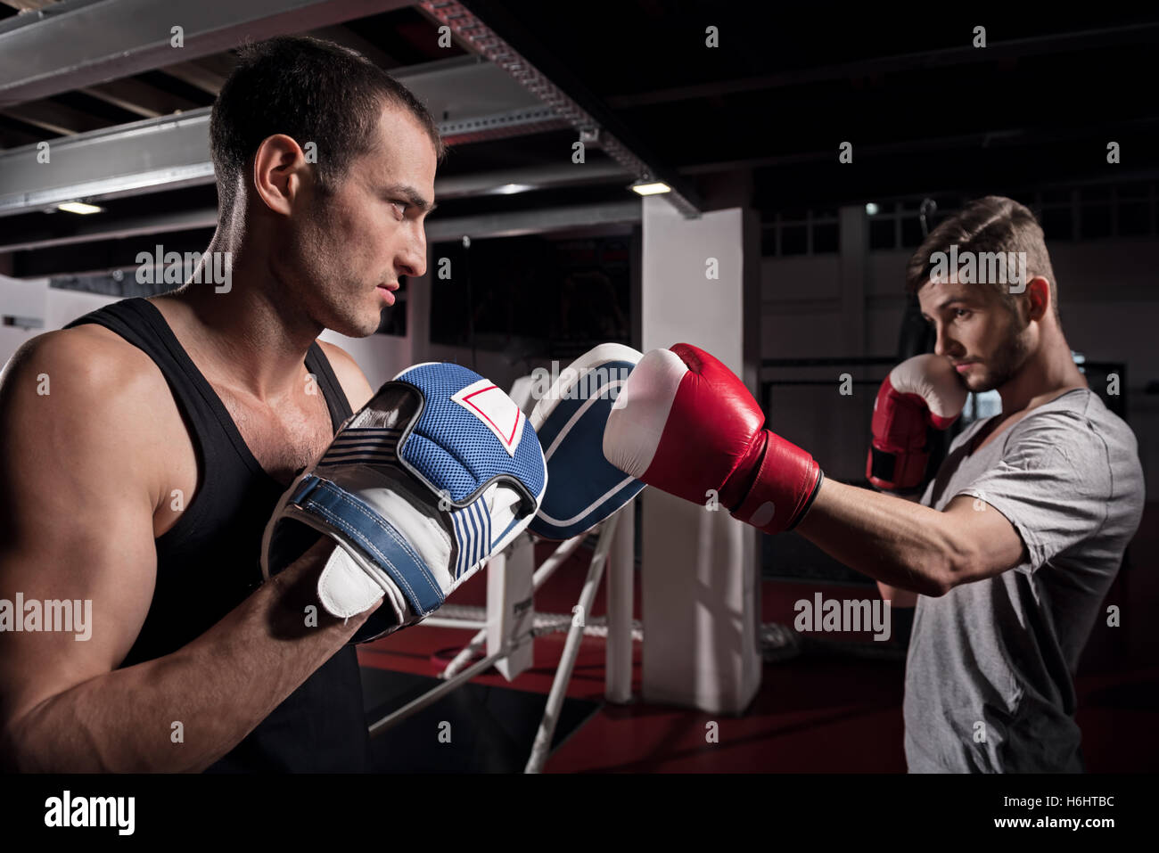 Side view of young boxer training hook on pad Stock Photo - Alamy