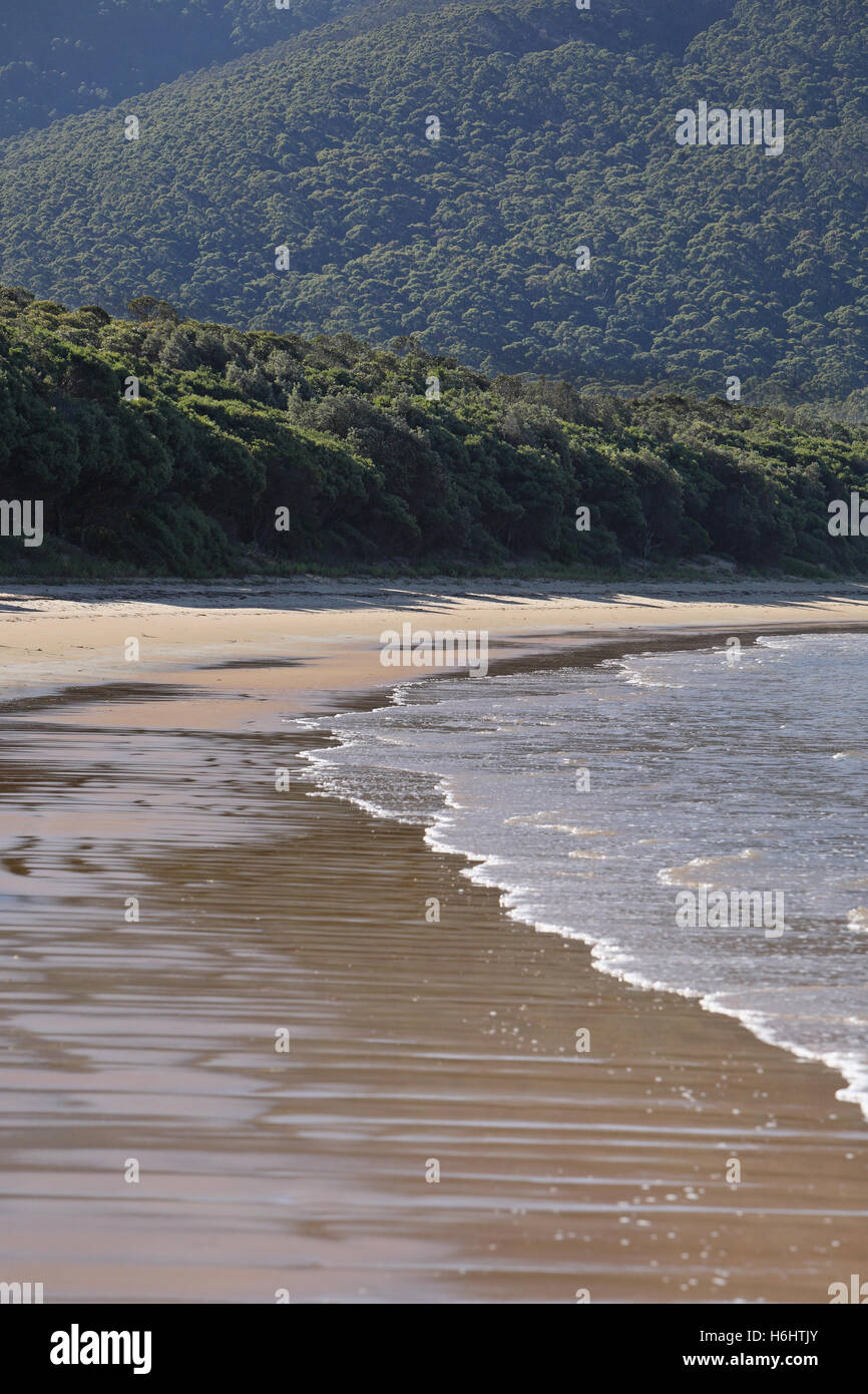 Sealers cove australia hires stock photography and images Alamy
