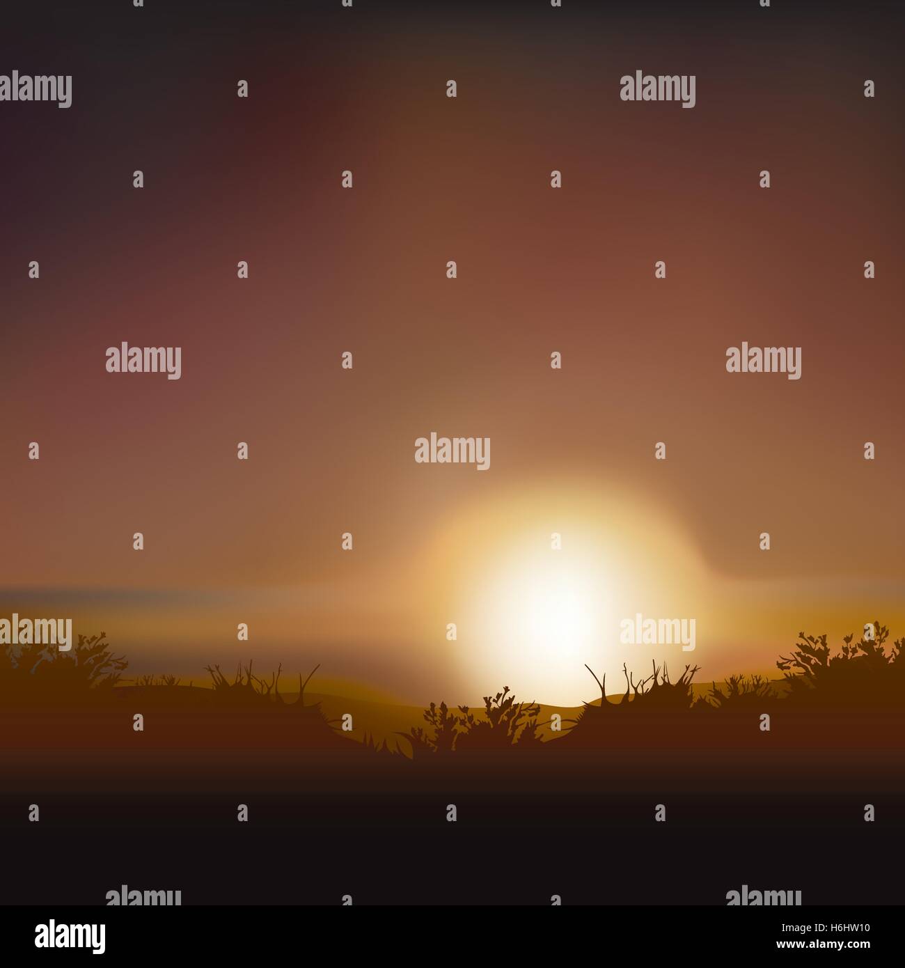 Sunlight In A Sunset Sky Stock Vector Image & Art - Alamy