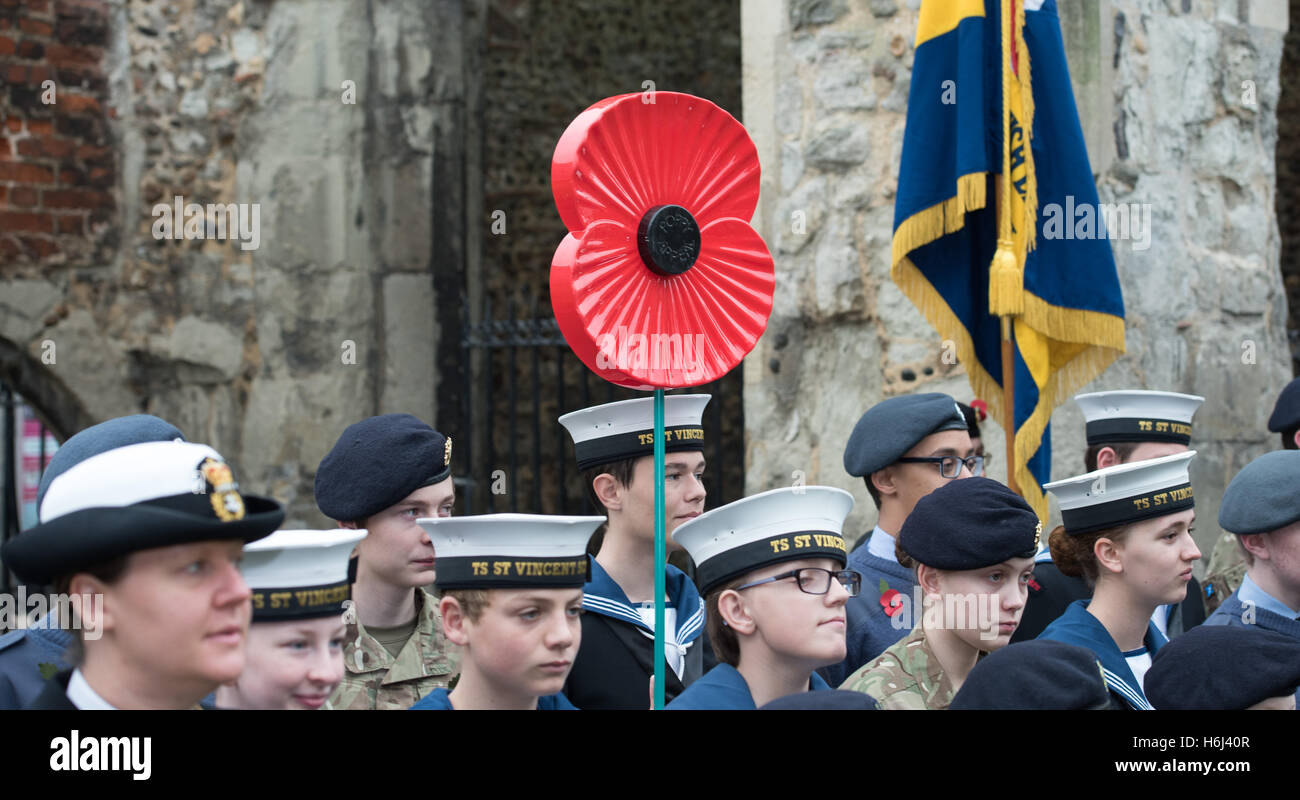 Poppy appeal launch, Brentwood, Essex Credit:  Ian Davidson/Alamy Live News Stock Photo