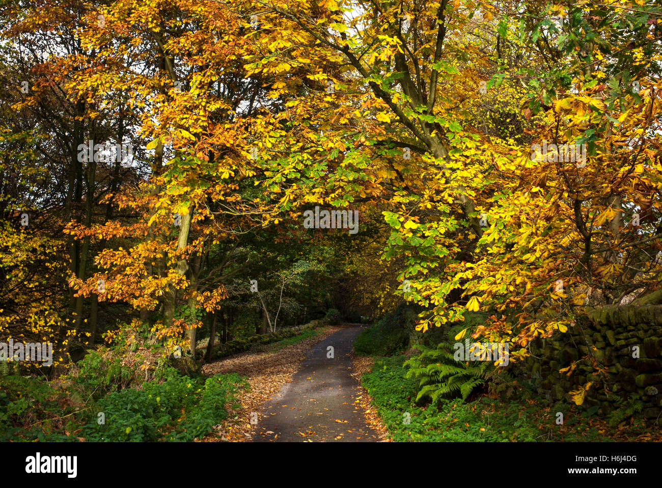Lea derbyshire hires stock photography and images Alamy