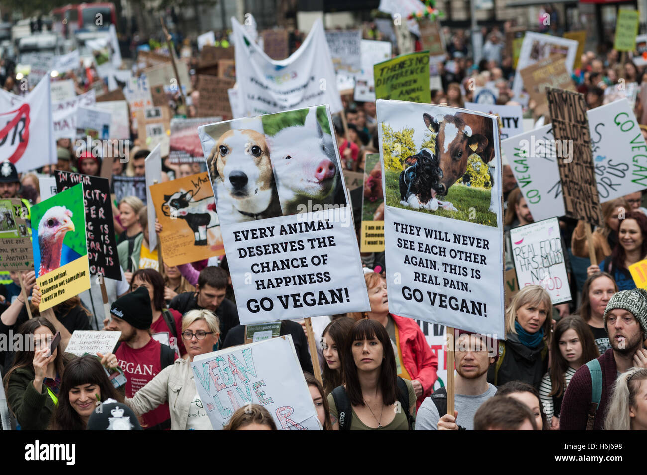 Vegan activist defies ban in 'chaotic' protest