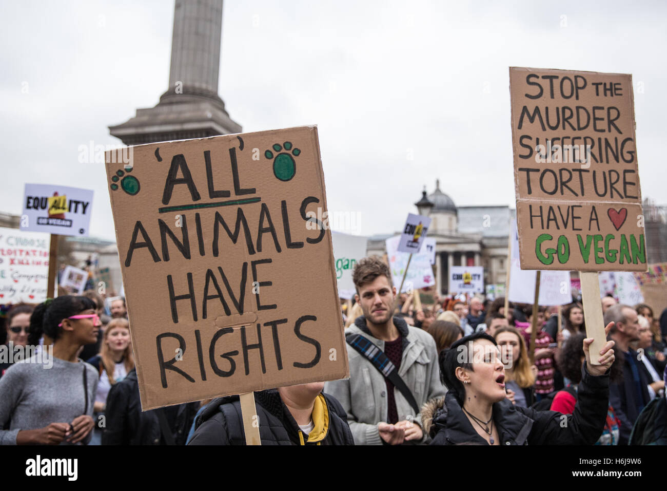 Animal activism hi-res stock photography and images - Alamy