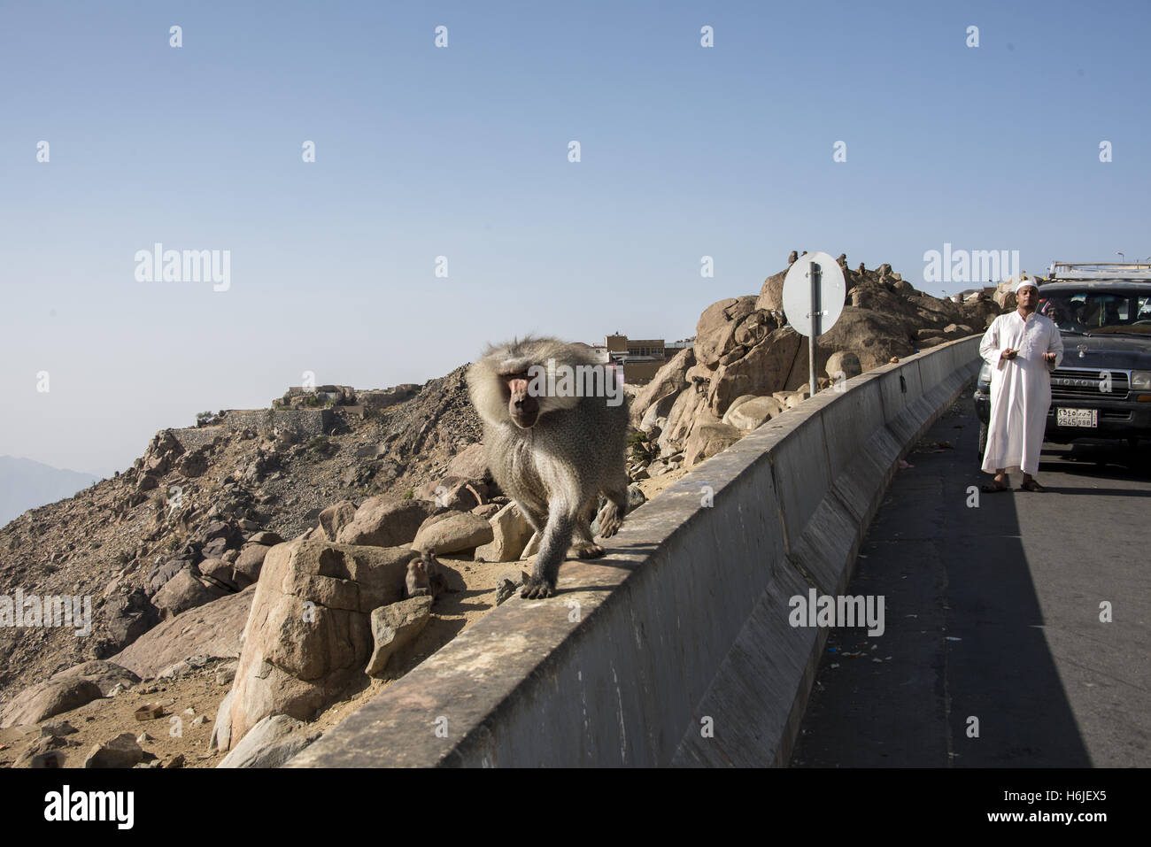 Saudi Arabia Taif Stock Photos Saudi Arabia Taif Stock Images
