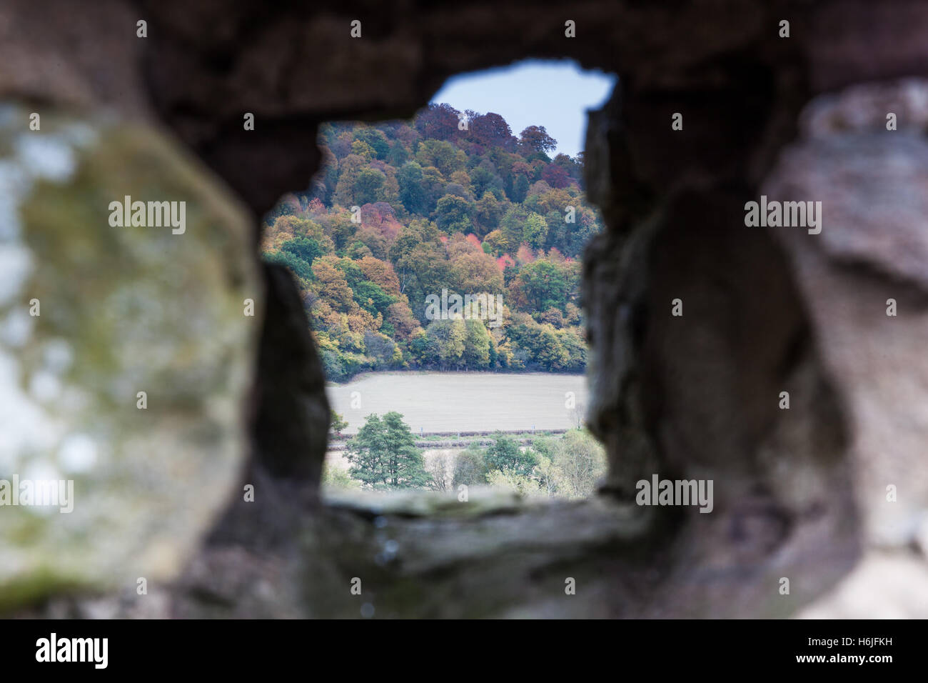 Autumn colour of Nortoncamp Wood through a spy hole in Stokesay Castle, near Craven Arms, Shropshire, England, UK Stock Photo