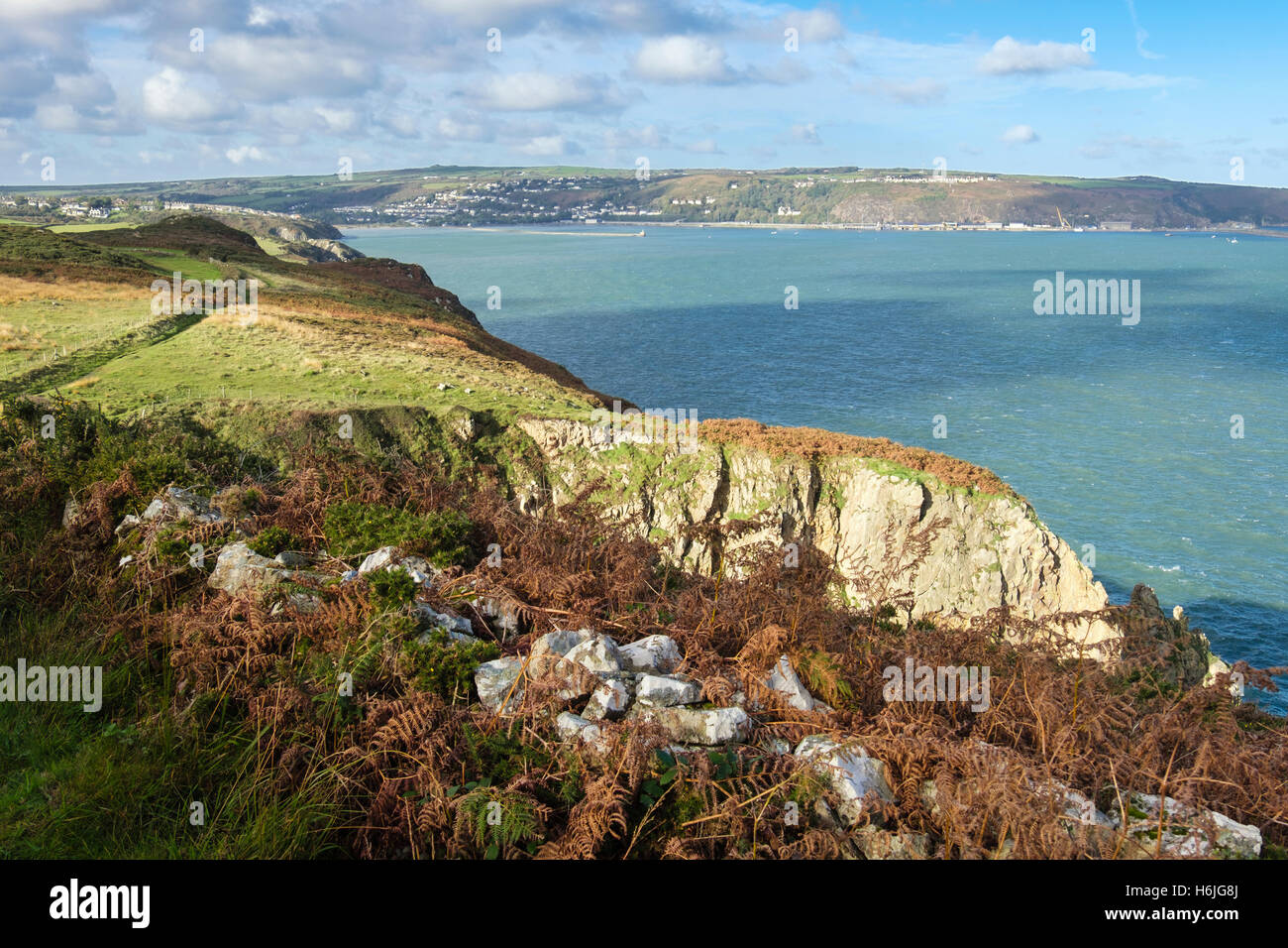 View across Fishguard Bay from Pembrokeshire Coastal Path in Pembrokeshire Coast National Park. Fishguard Pembrokeshire Wales UK Stock Photo