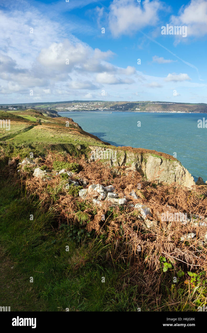 View across Fishguard Bay from Pembrokeshire Coastal Path in Pembrokeshire Coast National Park. Fishguard Pembrokeshire Wales UK Stock Photo