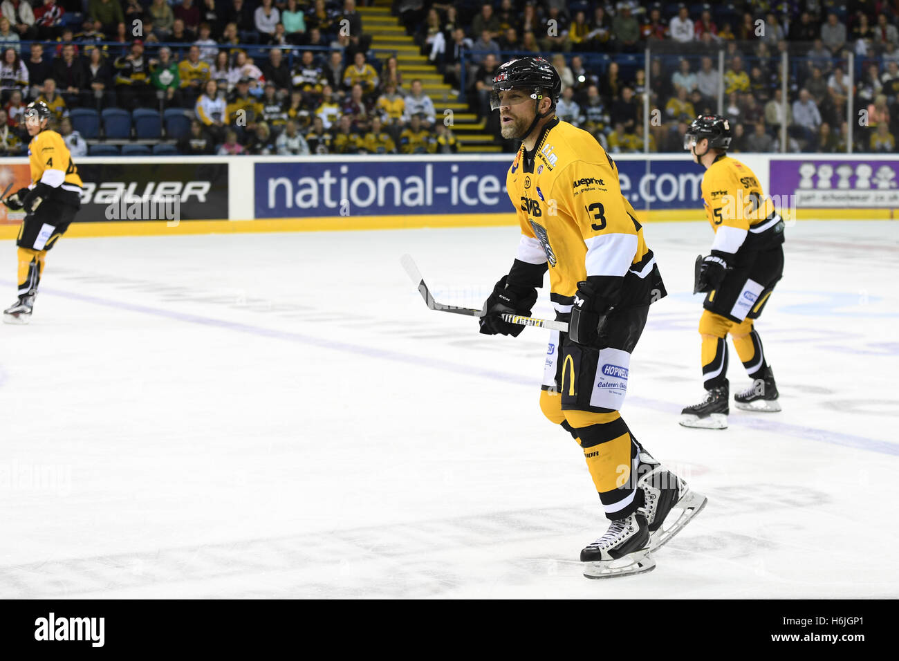 Brian Mcgrattan fights Eric Neilson during the Nottingham Panthers v Manchester Storm EIHL matchup. Stock Photo