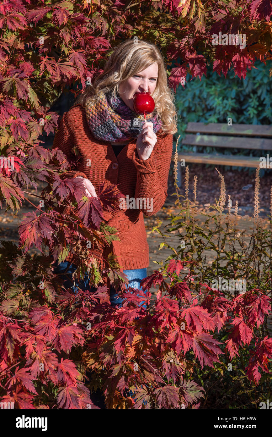 Attractive blonde woman in a park in autumn Stock Photo