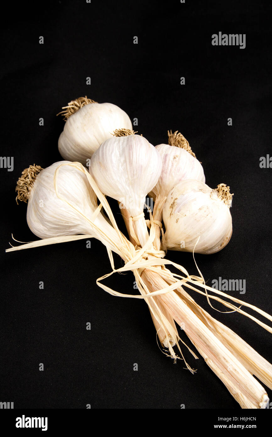 Five garlic cloves tied together Stock Photo