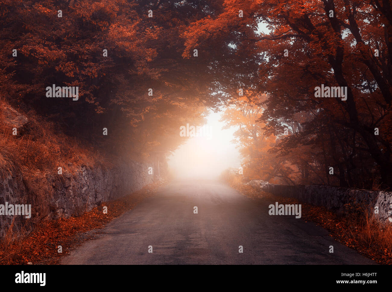 Mystical autumn forest with road in fog. Fall misty woods. Colorful landscape with trees, rural road, orange and red foliage Stock Photo