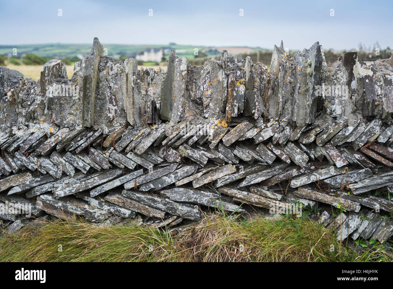 Dry stone wall of slate slabs on the South West Coast Path near an old quarry between Trebarwith beach and Tintagel, west coast of Cornwall, UK Stock Photo