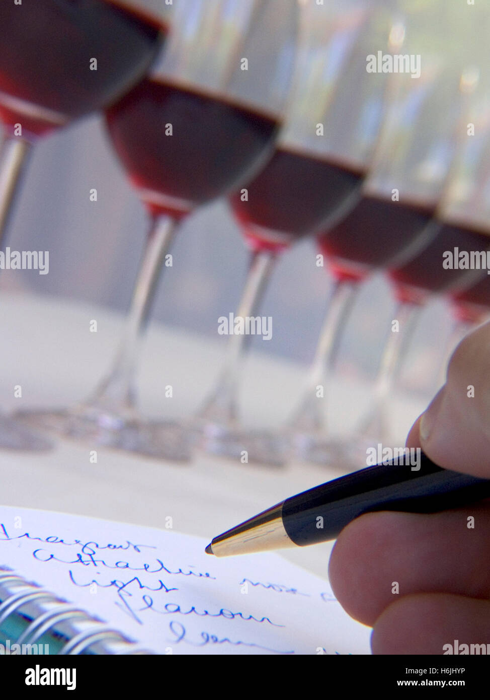 Wine Tasting Glasses Tasting Expert Sommelier Notes Line Of Vertical Tasting Red Wine Glasses On 1384