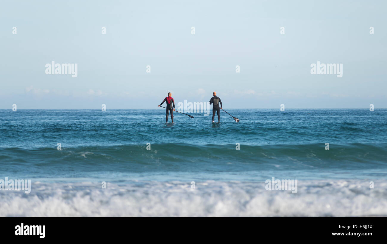 BAck side of two men in wetsuits paddling on stand-up boards floating in the swell at the bay at Sennen Cove shortly at sunrise, Cornwall, England, UK Stock Photo