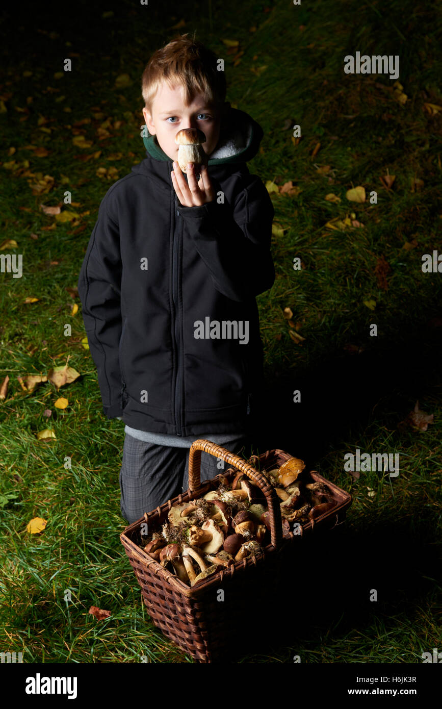 Child  boy pick mushrooms in green forest, kids outdoor activities Stock Photo