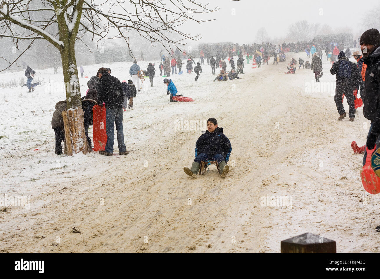London families are enjoying the winter weather, Stoke Newington, 20/01/2013, Katja Heber Stock Photo