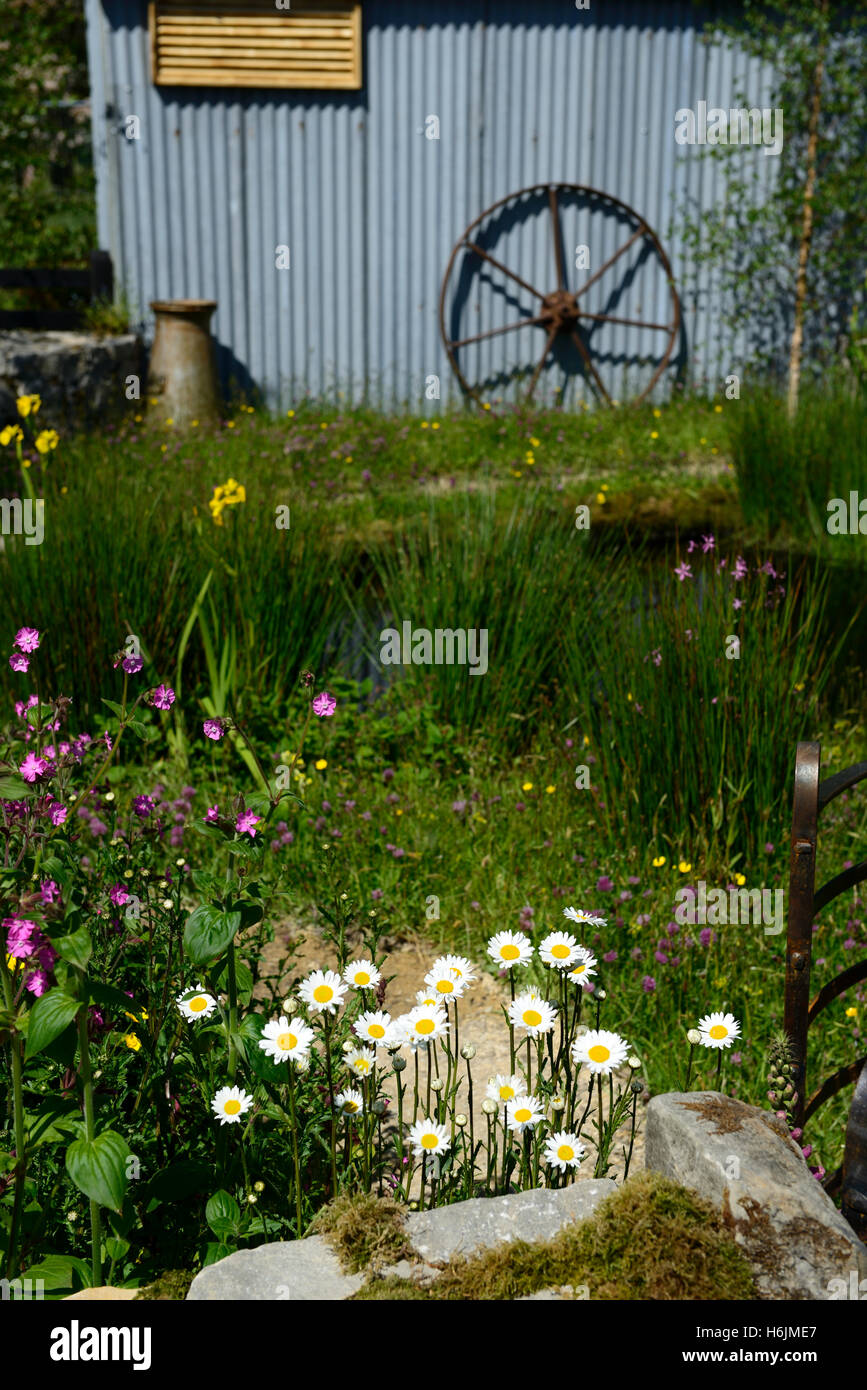 Barry Kavanaghs show garden across boundaries Bloom in the park Dublin 2016 gardens competition irish international RM Floral Stock Photo