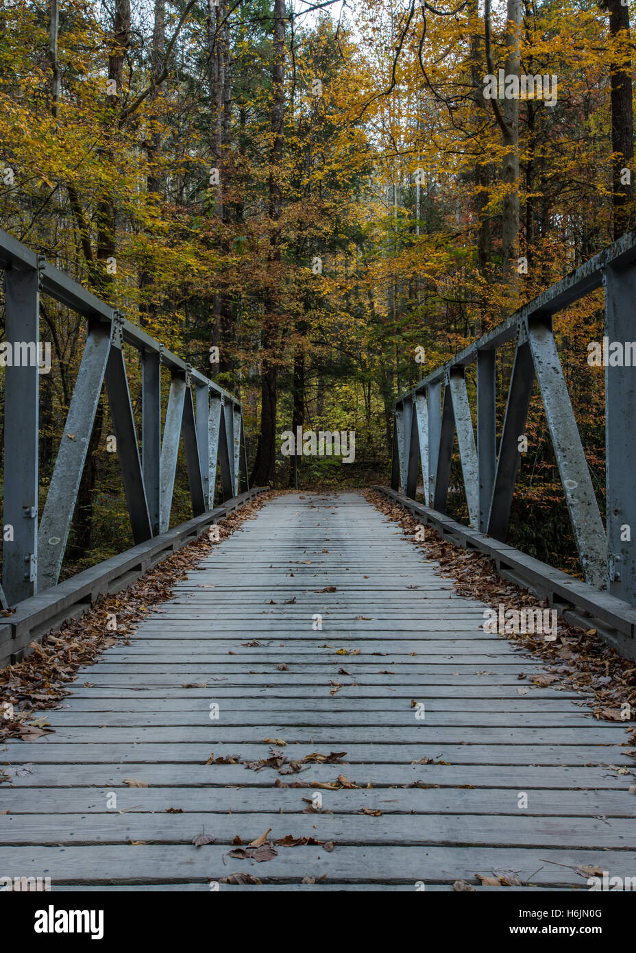 One Lane Bridge in Fall in Cataloochee Valley Stock Photo