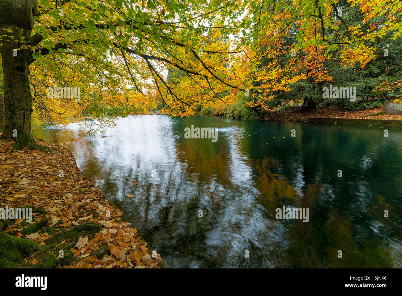 Fall foliage colors at Laurelhurst Park by the lake in Portland Oregon City in Autumn Season Stock Photo