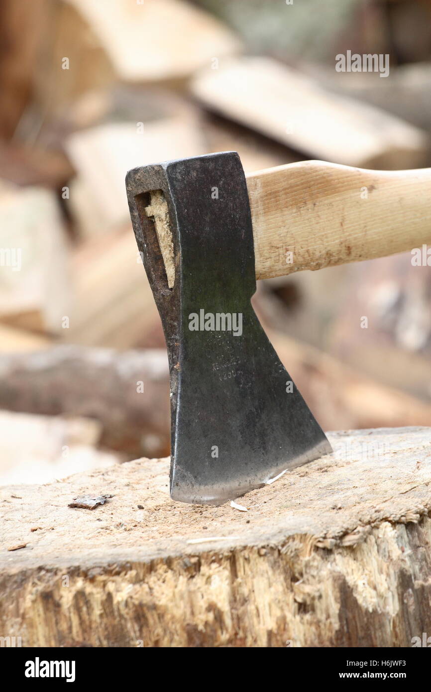 axe in chopping block in front of piles of logs Stock Photo
