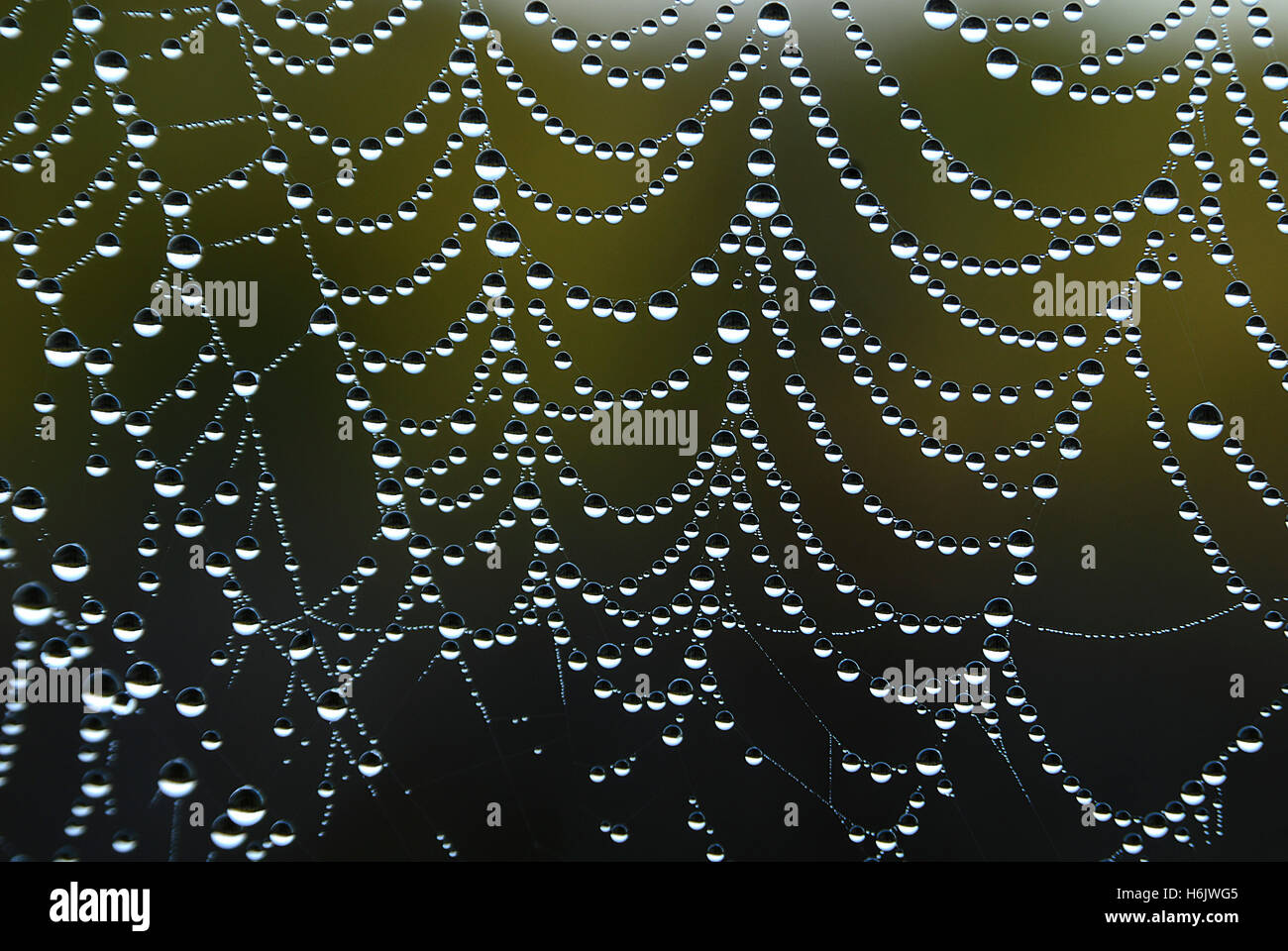 it all depends somehow always together Stock Photo Alamy