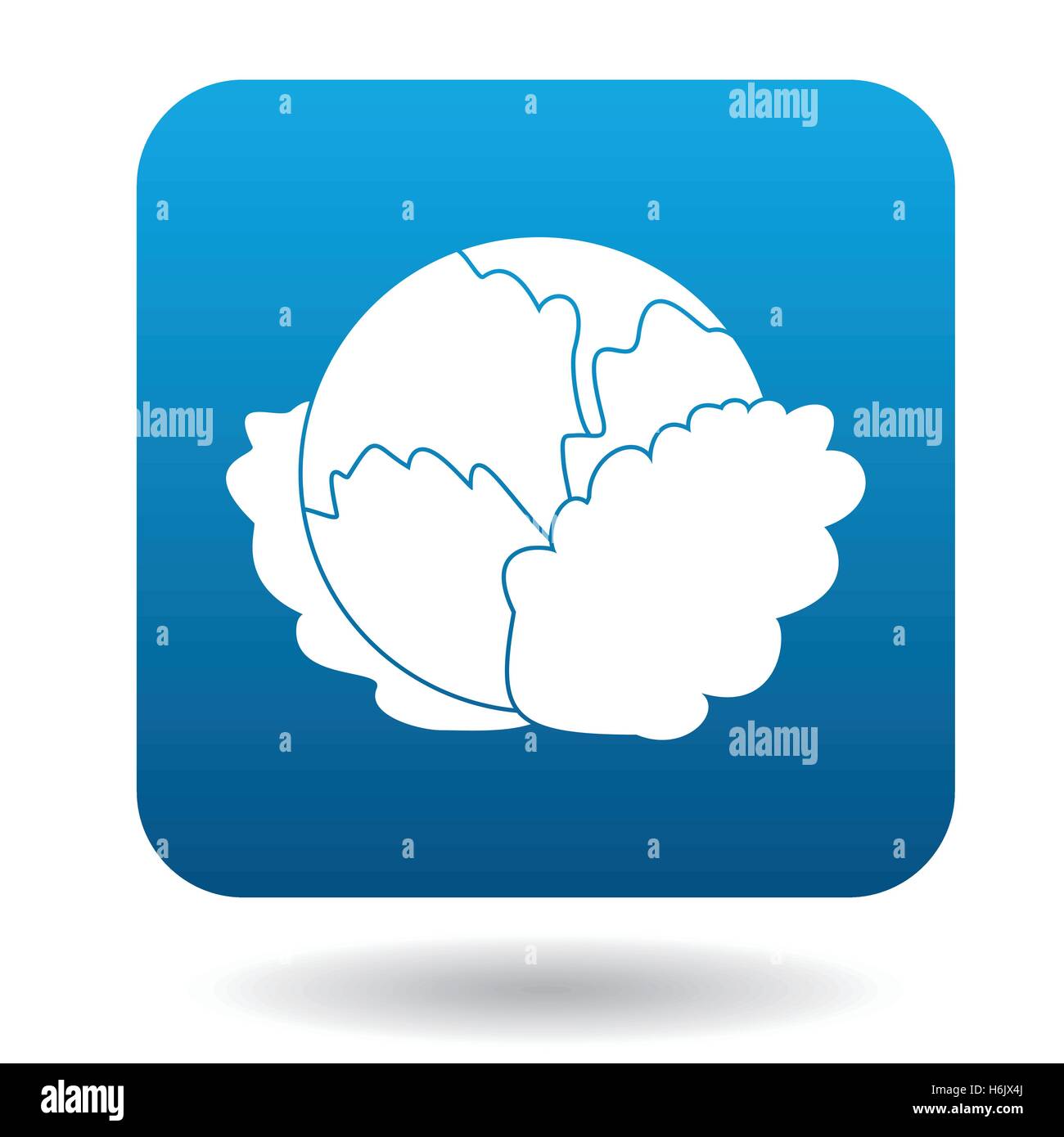 Cabbage icon in flat style Stock Vector Image & Art - Alamy