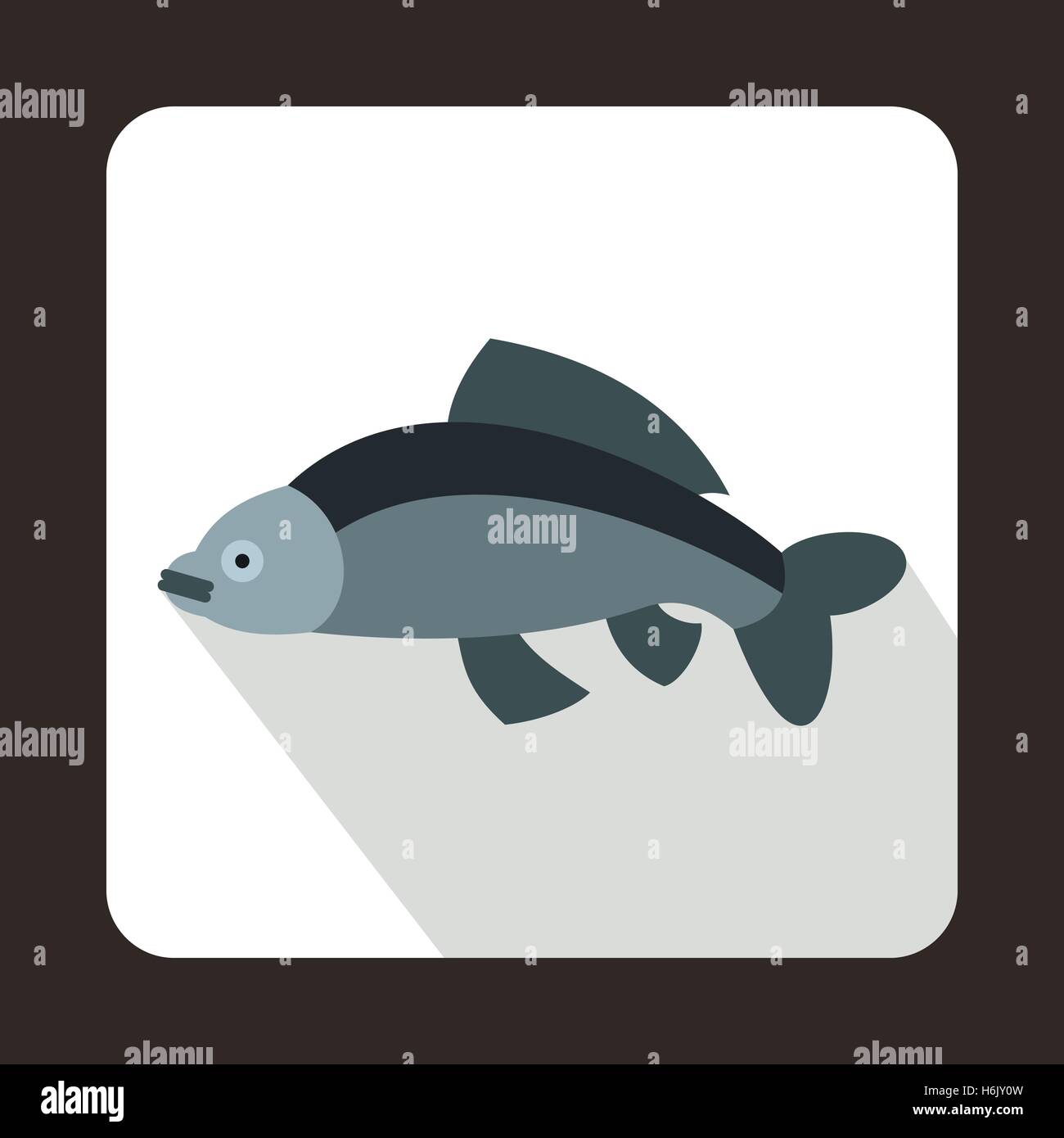 Gray sea fresh fish Stock Vector Images - Alamy