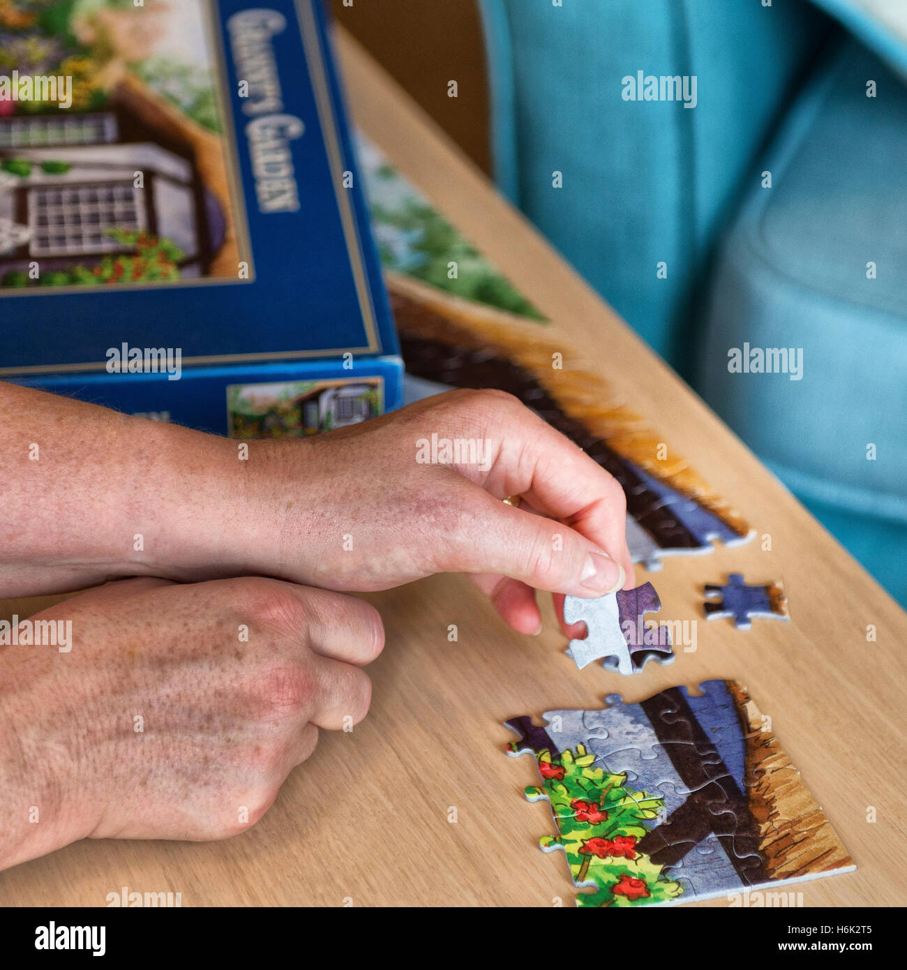 Close-up of older person fitting pieces to the corner of a jigsaw puzzle with out of focus box and armchair in the background. Stock Photo