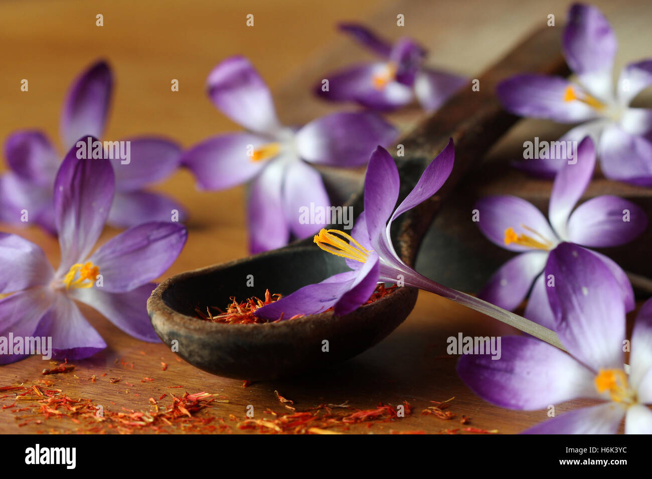 Saffron flowers harvest hires stock photography and images Alamy