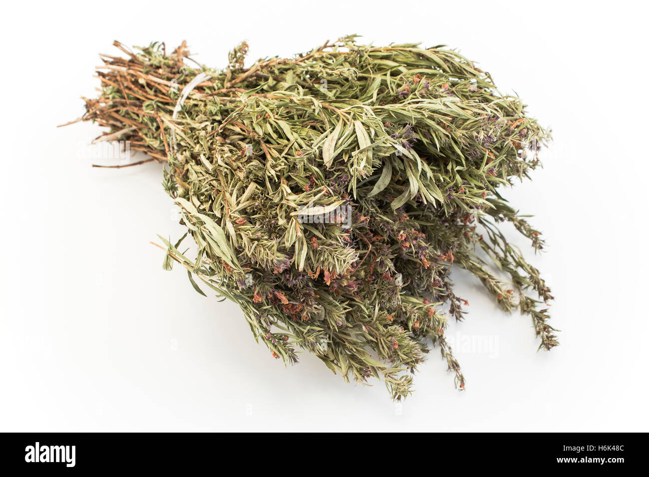 Summer Savory , Satureja Hortensis, Isolated on White. Stock Photo